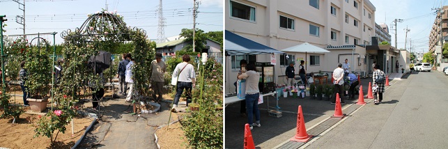 聖医会バラ祭り2019a02